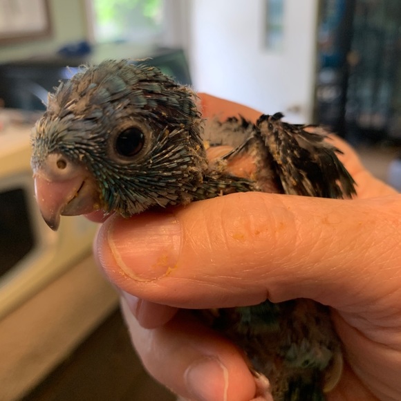 Meet your Posher, Karen - Picture 1 of 12